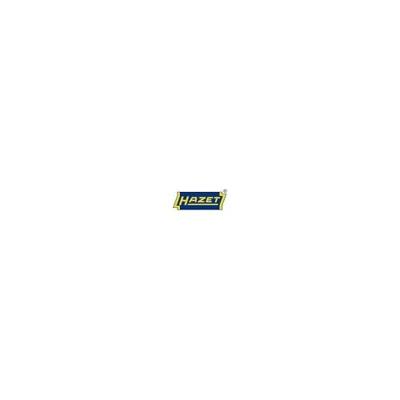 HAZET Ring-steeksleutel · extra lang · slanke uitvoering 600LG-22 · Buitentwaalfkant tractieprofiel · SW 22 mm HAZET Ring-steeksleutel · extra lang · slanke uitvoering 600LG-22 · Buitentwaalfkant tractieprofiel · SW 22 mm