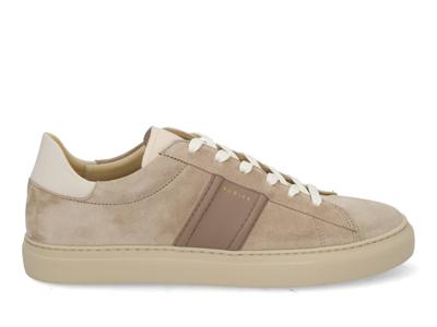 Nubikk Jase Morris mist Beige maat 45