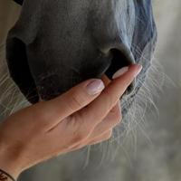 Secure Horse Flash/Confidence 10 stuks - thumbnail
