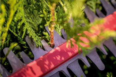 Metabo HS 18 LTX 65 | Accu-Heggenschaar | 18V | Excl. accu en lader - 601719850