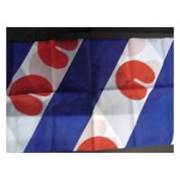 Vlag Friesland 30 x 45 cm - thumbnail