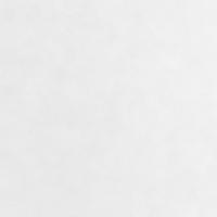 Vliesdoek voor planten 70 g/m 50x1,6 m - thumbnail