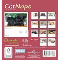 Cat Naps Deskkalender 2026 - thumbnail