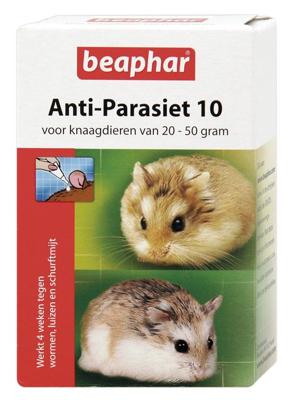 BEAPHAR ANTI-PARASIET 10 KNAAGDIER 20-50 GR 2 PIP