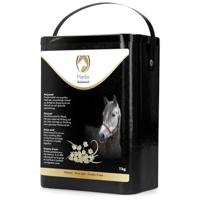Excellent Herbs Anijs 1 Kg - thumbnail
