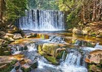 Forest Cascade Puzzel 2000 Stukjes - thumbnail
