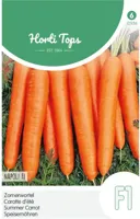 Zaden Wortelen Napoli F1 Hortitops - Hortitops - thumbnail