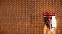Real Farm - thumbnail