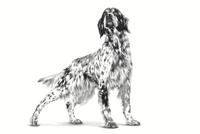 Royal Canin Veterinary Gastrointestinal High Fibre hondenvoer 2 x 2 kg - thumbnail