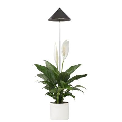 Venso LED-plantenlamp SUNLiTE LED vast ingebouwd 7 W Neutraalwit 1 stuk(s) Venso LED-plantenlamp SUNLiTE LED vast ingebouwd 7 W Neutraalwit 1 stuk(s)