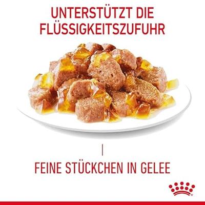 Royal Canin Hairball Care natvoer kat (in gelei) 4 dozen (48 x 85 g) - thumbnail
