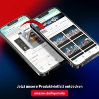 LIQUI MOLY olievlek verwijderaar oil stain remover 400ml lm - thumbnail