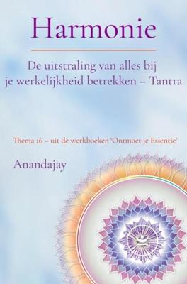 Thema 16 - Werkboek - Anandajay _ - ebook