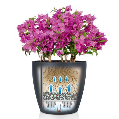 Jardiniere - Classico kleur 28 - Complete set - Wit - 9 L - LECHUZA Jardiniere - Classico kleur 28 - Complete set - Wit - 9 L - LECHUZA