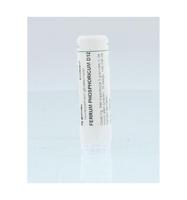 Ferrum phosphoricum D12 - thumbnail