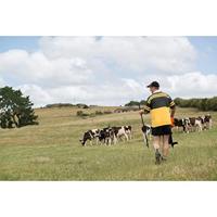 Gallagher SmartFence 2.0 - 700007 700007 - thumbnail