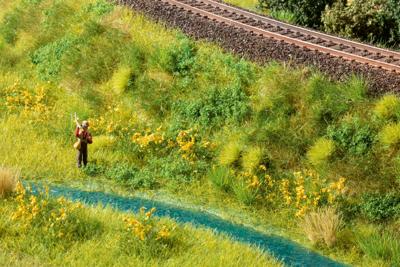 NOCH 07250 Bodembedekker Landschap bouw Groen (gemiddeld)