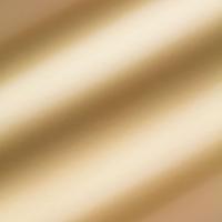 Tonic Studios • mirror card satin a4 x5 honey gold - thumbnail