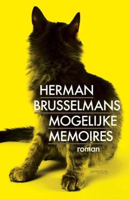 Mogelijke memoires - Herman Brusselmans - ebook