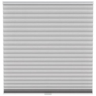 Fenstr plisségordijn Singapore dubbel 45mm lichtdoorlatend - lichtgrijs (20034)