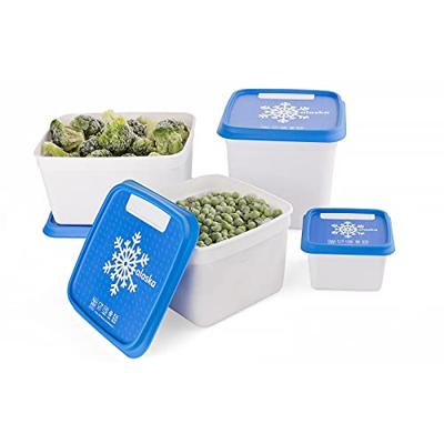 DBP Alaska Diepvriesdoos 1200 ml Set van 3 Stuks