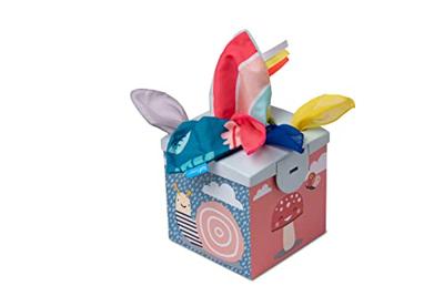 Kimmy koala wonder tissue box