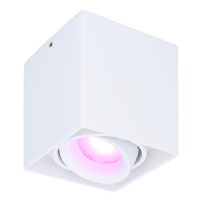 Esto smart Opbouwspot - Vierkant - Plafondspot - Kantelbaar - RGBWW - Wifi + Bluetooth - Google Home, Amazon Alexa en Siri - Wit - Bestuurbaar via App en Stem
