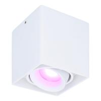 Esto smart Opbouwspot - Vierkant - Plafondspot - Kantelbaar - RGBWW - Wifi + Bluetooth - Google Home, Amazon Alexa en Siri - Wit - Bestuurbaar via App en Stem - thumbnail