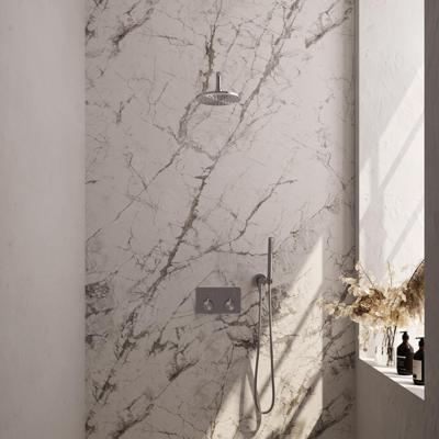 Brauer Brushed Edition Thermostatische Regendoucheset Inbouw - Hoofddouche 20 cm - Gebogen Wandarm - Met Drukknoppen - Handdouche Staaf - Doucheslang - Wandaansluitbocht - Rvs