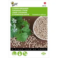 Zaden Koriander Citroen laag Buzzy - Buzzy - thumbnail
