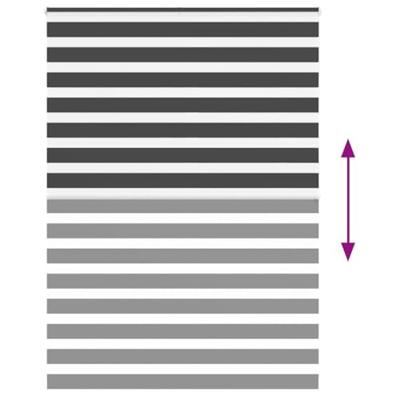 Zebra rolgordijn 160x200 cm stofbreedte 155,9 cm zwart