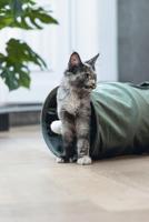 Designed by Lotte kattentunnel Cylla groen - thumbnail