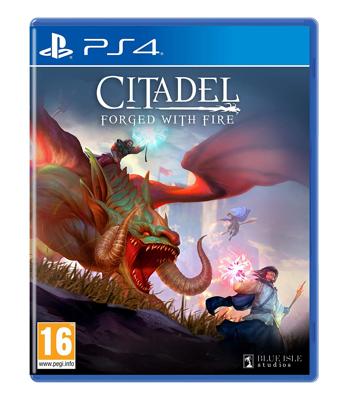 Citadel Forged with Fire