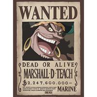 Poster One Piece - Wanted Blackbeard 38x52cm - thumbnail