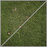 EINHELL soft borstelset borstel (hout, kunstgras) - thumbnail
