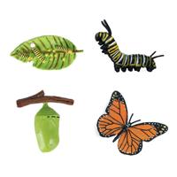 Cycplus Levenscyclus vlinder speelfiguren set - thumbnail