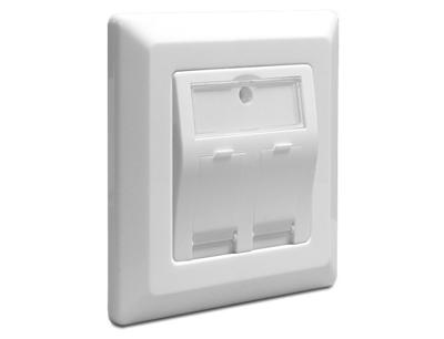 DeLOCK Keystone Wall Outlet 2 Port doos - thumbnail