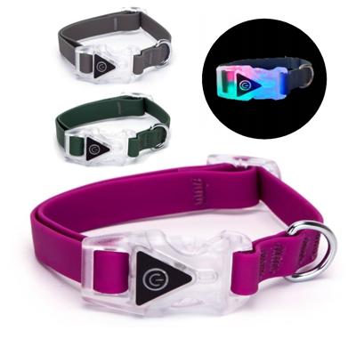 Nobleza Hondenhalsband met licht in gesp - Maat S - 40 cm