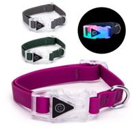 Nobleza Hondenhalsband met licht in gesp - Maat S - 40 cm - thumbnail