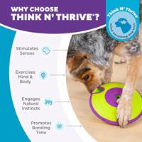 Nina Ottosson dog treat maze paars / lime - thumbnail