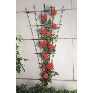 Nature Klimrek metl v-vorm 5-75x150 cm grijs