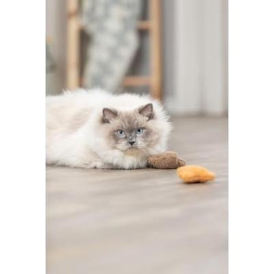 TRIXIE BEER PLUCHE MET CATNIP ASSORTI 8 CM - thumbnail