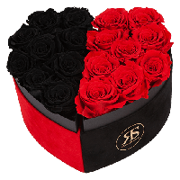 Flowerbox Longlife Rosuz special - thumbnail