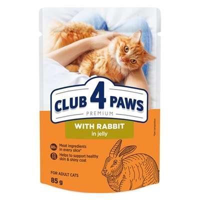 CLUB 4 PAWS PREMIUM ADULT RABBIT IN JELLY POUCH