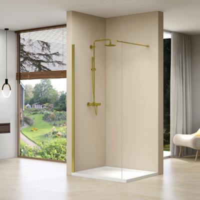 Inloopdouche Van Rijn Products Vaste Wand 110 x 200 cm Helder Glas Incl Stabilisatiestang en Gouden Muurprofiel van Rijn
