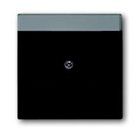 Busch-Jaeger 2CKA001710A3910 Modulaire jack insert Afdekking Zwart, Diepzwart (RAL 9005) 1 stuk(s) - thumbnail