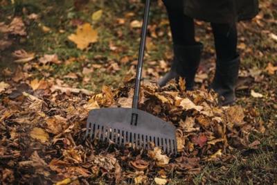 Fiskars 1063089 Bladbezem