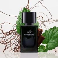 Burberry Mr. Burberry Eau de Parfum 50ml - thumbnail