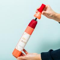 Opvouwbare paraplu - Roséfles - Zakformaat - thumbnail