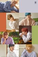 Poster BTS - Group Collage 61x91,5cm - thumbnail